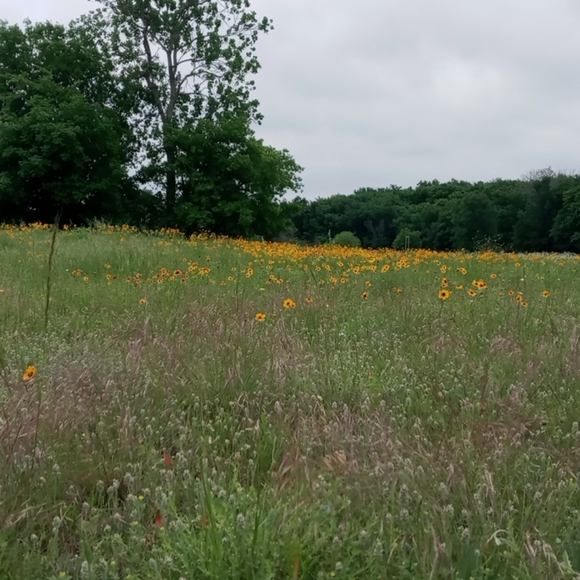 Meet your Posher, Craig - Picture 10 of 12